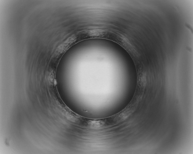 X0000103280277200808291318