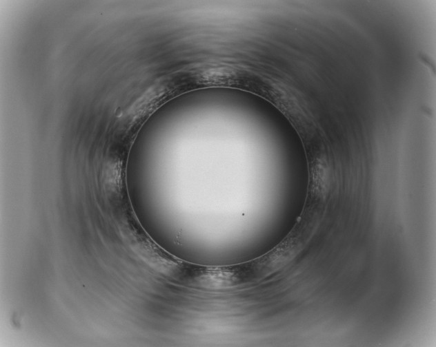 X0000103280278200808291318