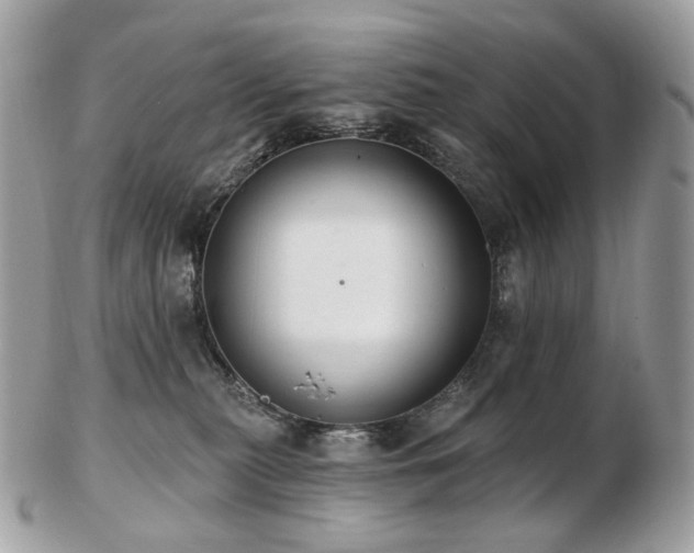 X0000103280279200808291318