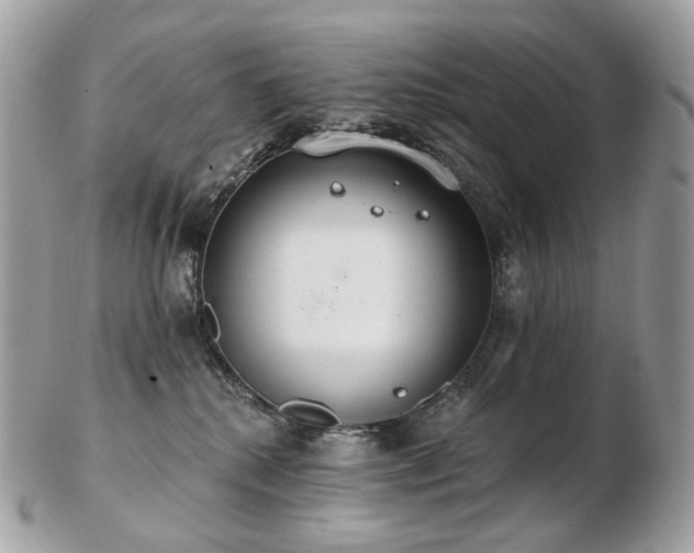 X0000103280280200808291318