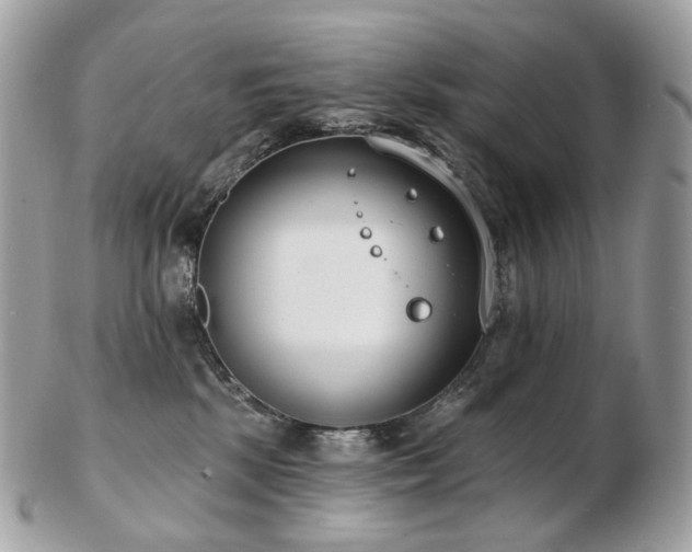 X0000103280281200808291318