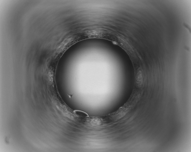 X0000103280282200808291318