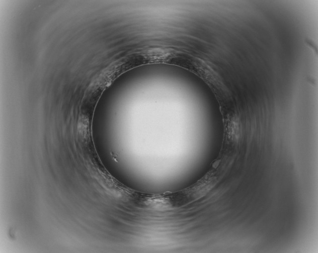 X0000103280283200808291318