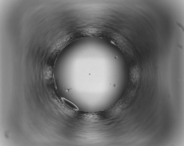 X0000103280284200808291318