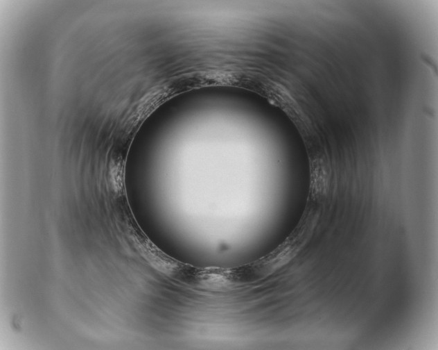 X0000103280285200808291318