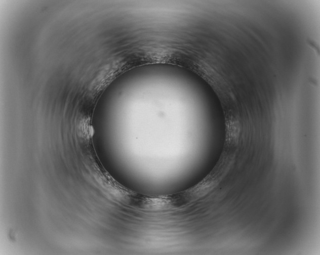 X0000103280286200808291318