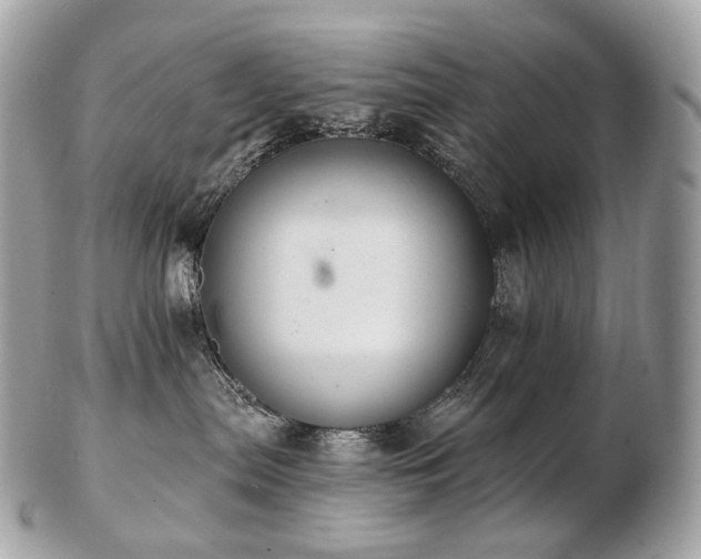 X0000103280287200808291318