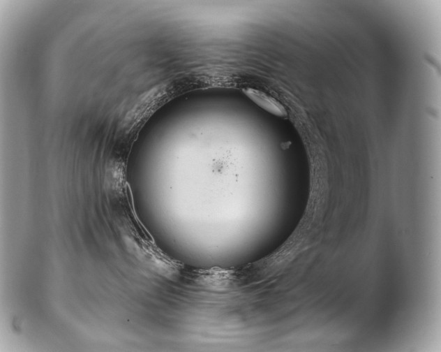 X0000103280288200808291318