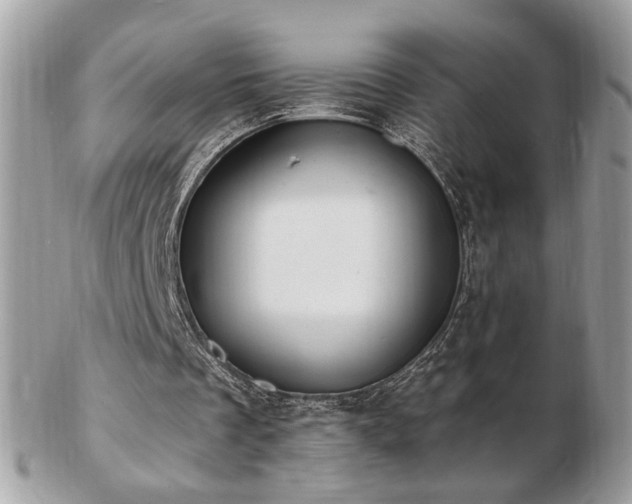 X0000103280289200808291317