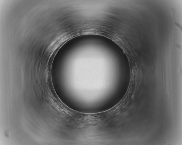 X0000103280290200808291317