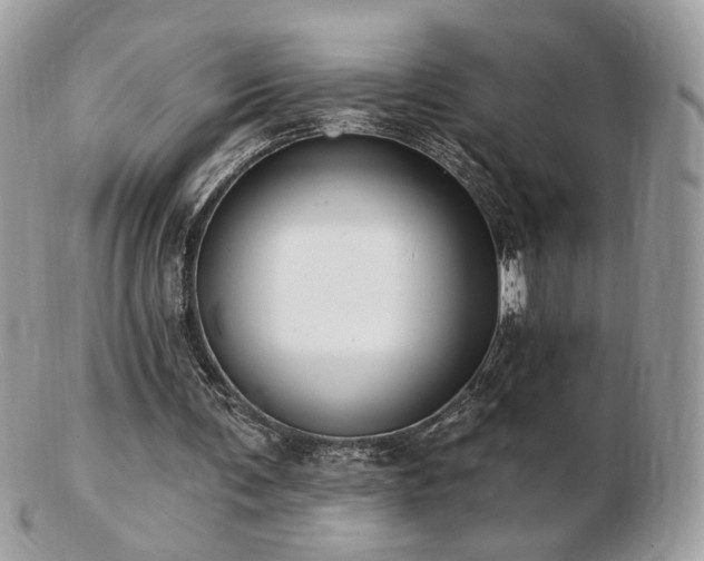 X0000103280291200808291317