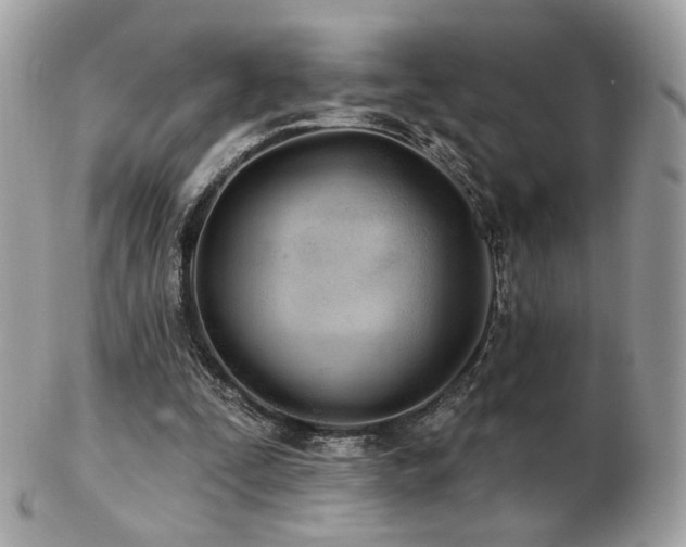 X0000103280295200808291317