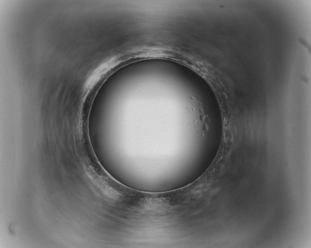 X0000103280296200808291317