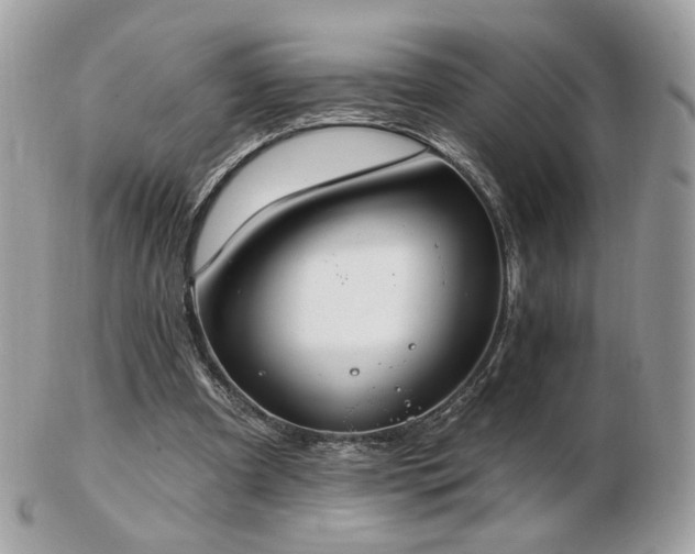 X0000103280297200808291317