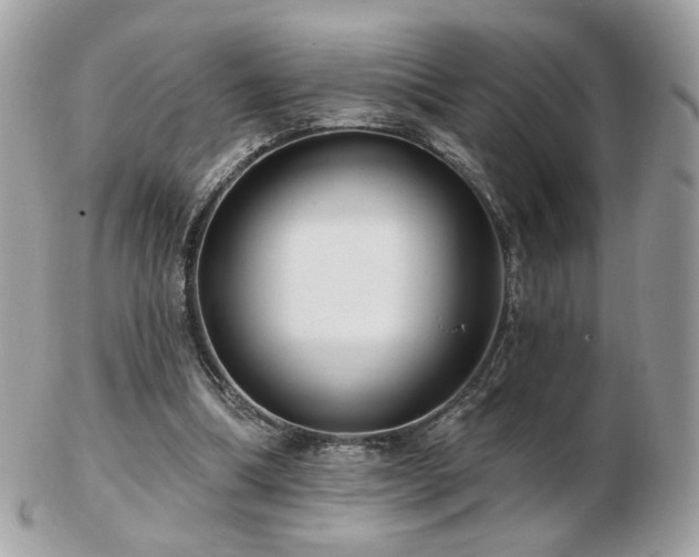 X0000103280298200808291317