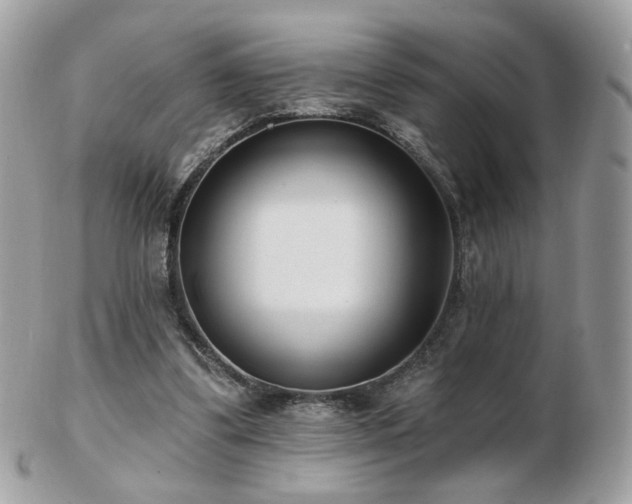 X0000103280299200808291317