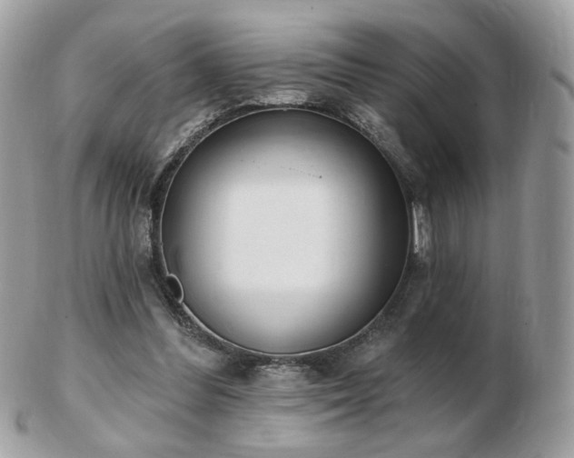 X0000103280300200808291317