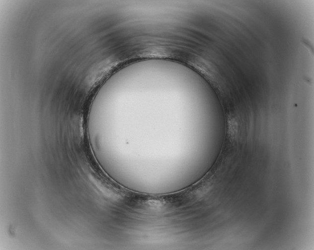 X0000103280302200808291317