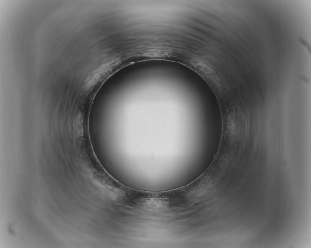 X0000103280303200808291317