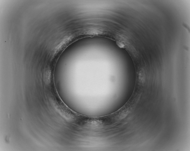 X0000103280304200808291317