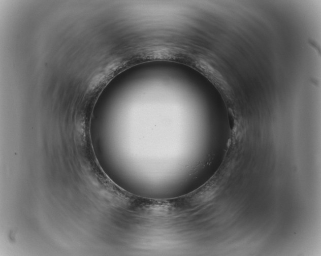 X0000103280306200808291317