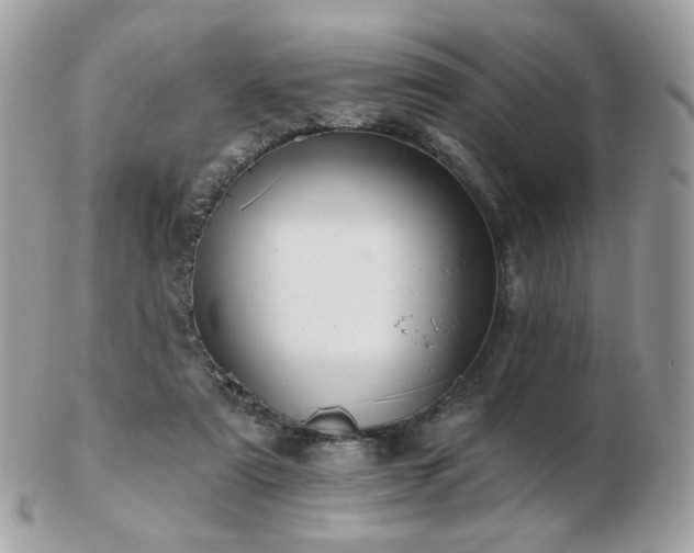 X0000103280307200808291317