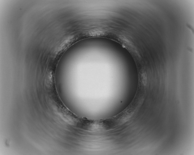 X0000103280308200808291317