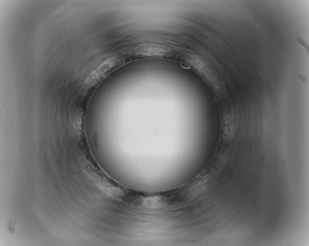 X0000103280309200808291317