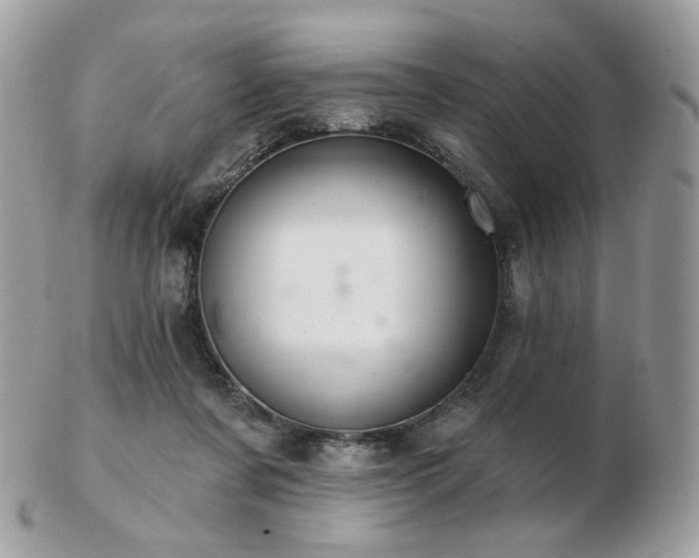 X0000103280311200808291317