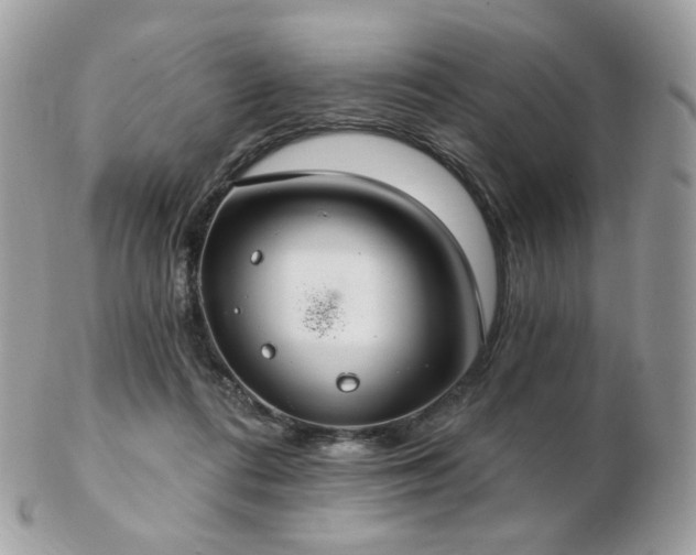 X0000103280312200808291317