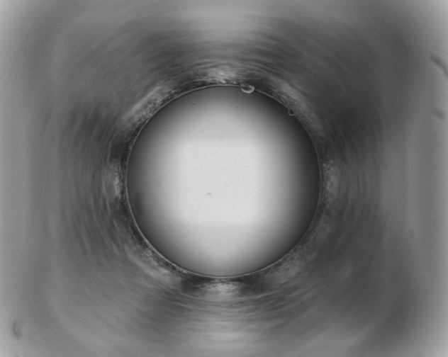 X0000103280313200808291317