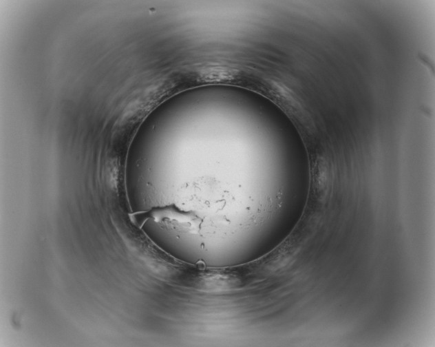 X0000103280315200808291317