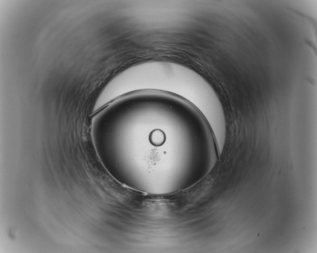 X0000103280316200808291317