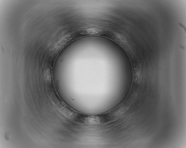 X0000103280317200808291317