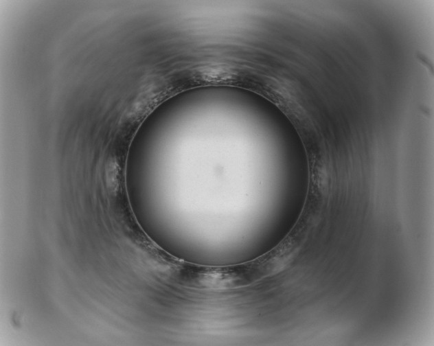 X0000103280319200808291317