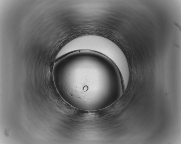 X0000103280320200808291317