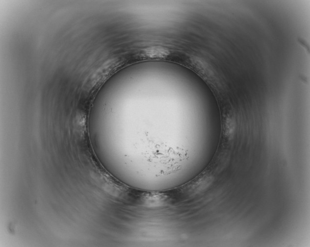 X0000103280321200808291317