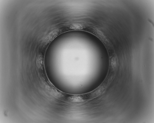 X0000103280322200808291317