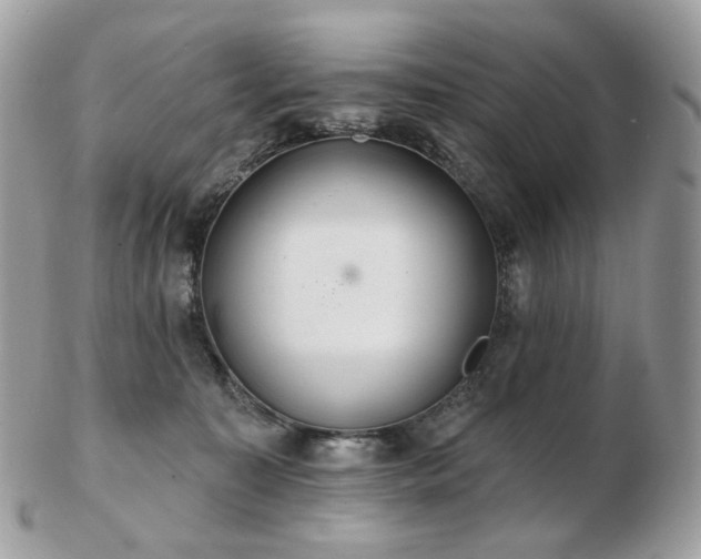 X0000103280323200808291317