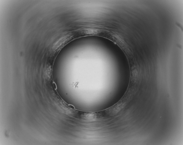 X0000103280325200808291317