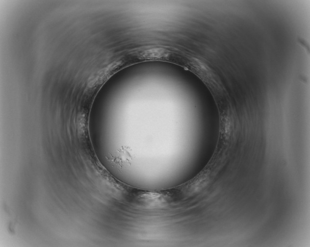 X0000103280326200808291317