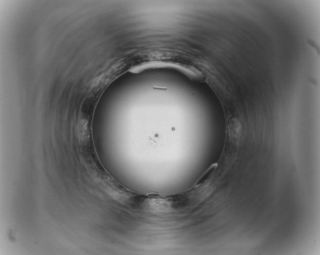 X0000103280327200808291317