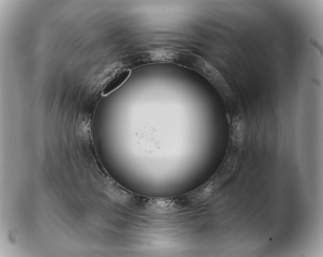 X0000103280329200808291317