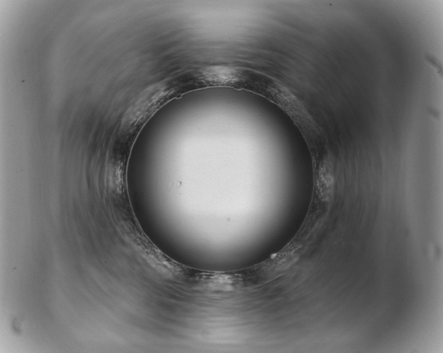 X0000103280330200808291317