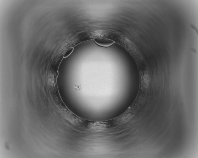 X0000103280331200808291317