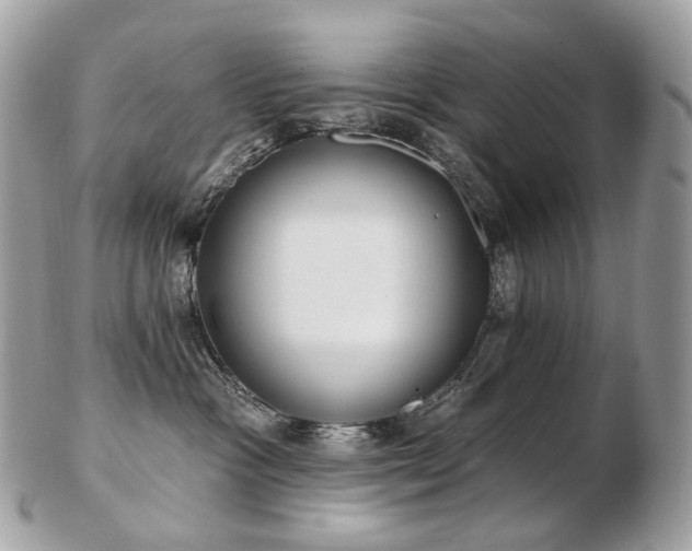 X0000103280333200808291317