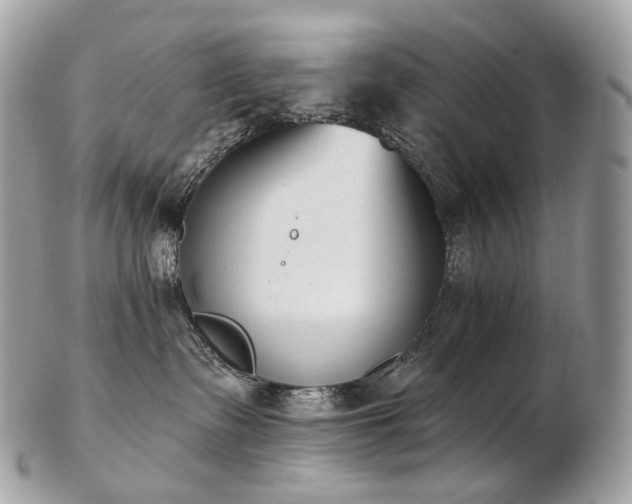 X0000103280335200808291317