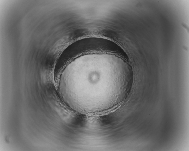 X0000103280336200808291317