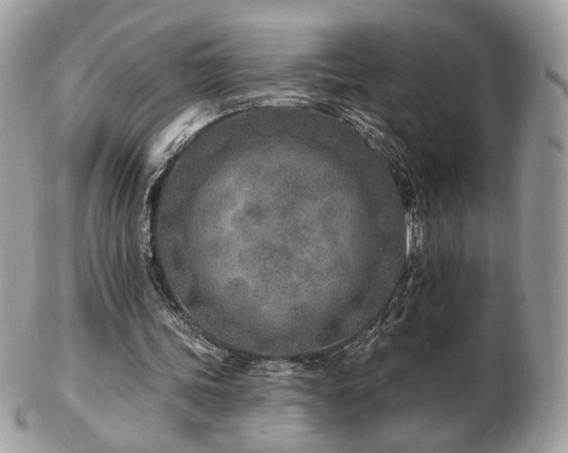 X0000103280339200808291316