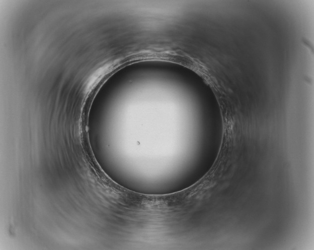 X0000103280340200808291316